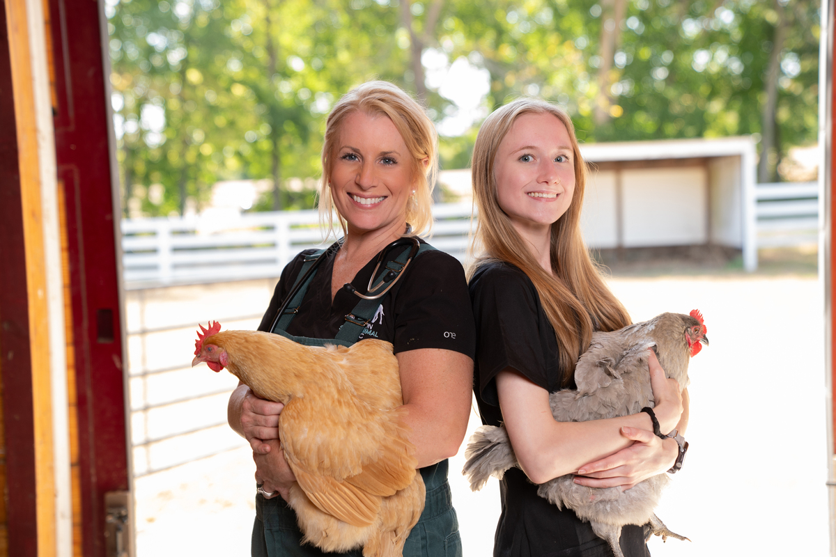 vet and tech holding chickens and smiling